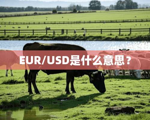 EUR/USD是什么意思？