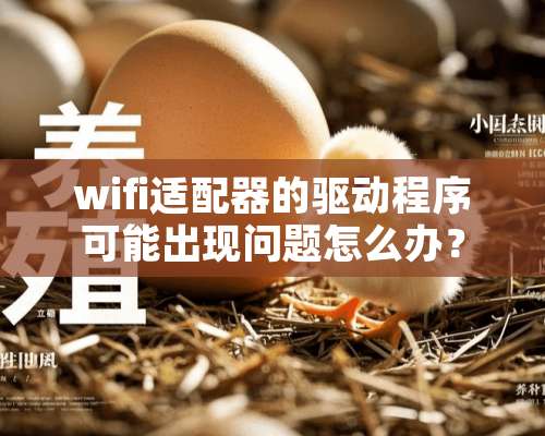 wifi适配器的驱动程序可能出现问题怎么办？