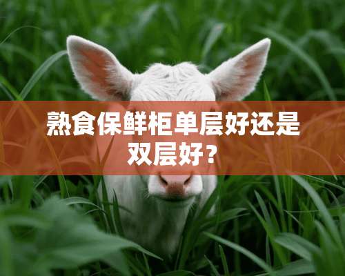 熟食保鲜柜单层好还是双层好？