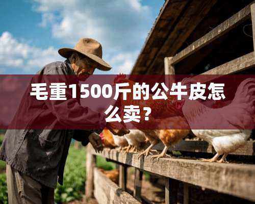 毛重1500斤的公牛皮怎么卖？