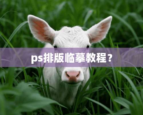 ps排版临摹教程？