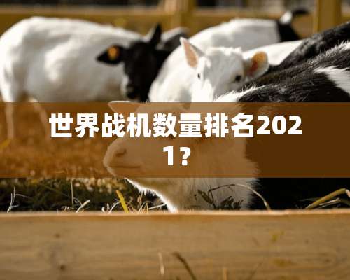 世界战机数量排名2021？