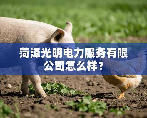 菏泽光明电力服务有限公司怎么样？