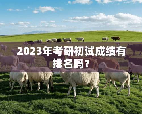 2023年考研初试成绩有排名吗？