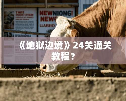 《地狱边境》24关通关教程？