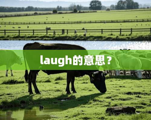 laugh的意思？