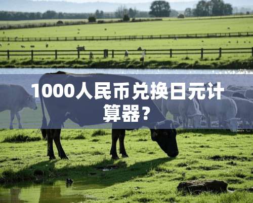 1000人民币兑换日元计算器？