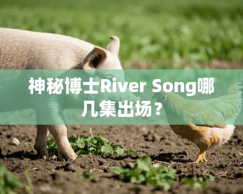 神秘博士River Song哪几集出场？