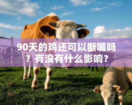 90天的鸡还可以断嘴吗？有没有什么影响？