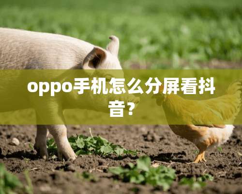 oppo手机怎么分屏看抖音？