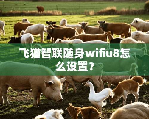 飞猫智联随身wifiu8怎么设置？