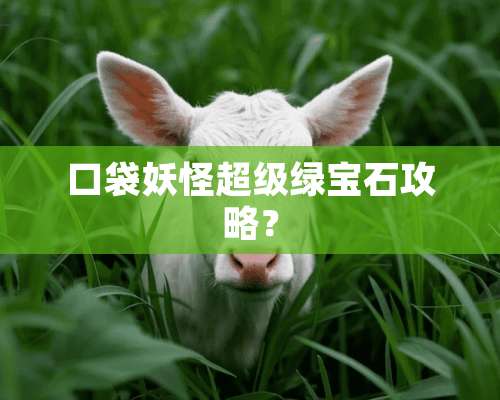 口袋妖怪超级绿宝石攻略？