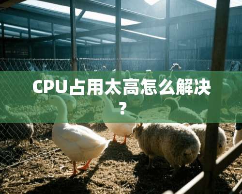 CPU占用太高怎么解决？