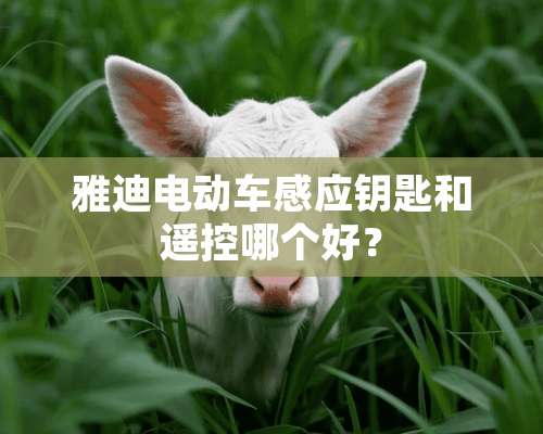 雅迪电动车感应钥匙和遥控哪个好？