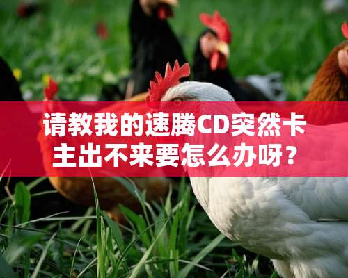 请教我的速腾CD突然卡主出不来要怎么办呀？