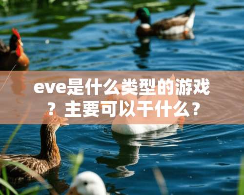 eve是什么类型的游戏？主要可以干什么？