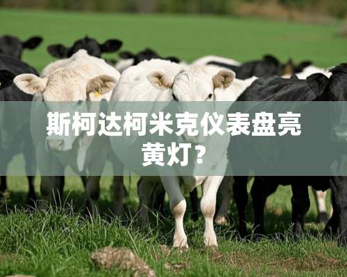 斯柯达柯米克仪表盘亮黄灯？