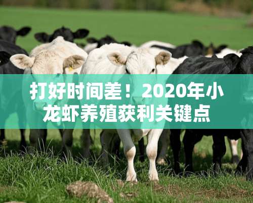 打好时间差！2020年小龙虾养殖获利关键点