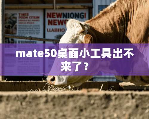 mate50桌面小工具出不来了？