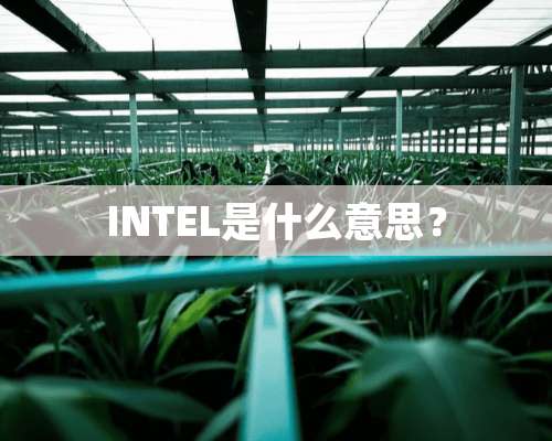 INTEL是什么意思？