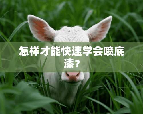 怎样才能快速学会喷底漆？