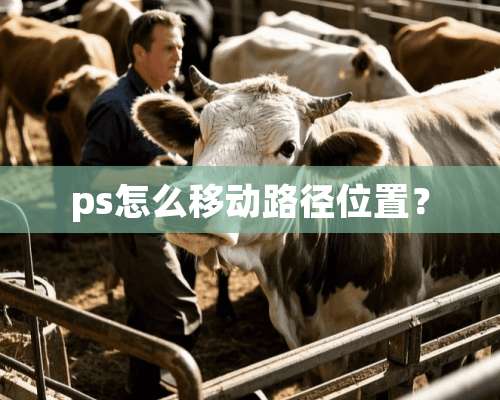 ps怎么移动路径位置？