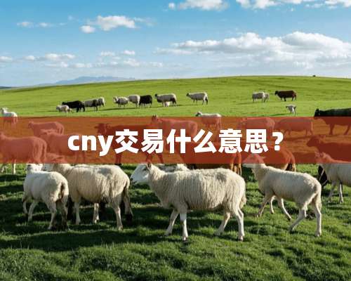 cny交易什么意思？