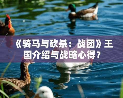 《骑马与砍杀：战团》王国介绍与战略心得？