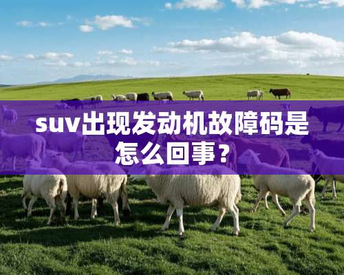 suv出现发动机故障码是怎么回事？