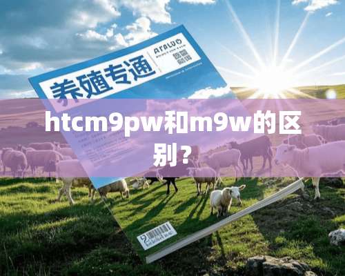 htcm9pw和m9w的区别？