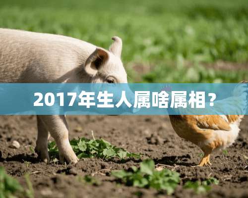 2017年生人属啥属相？