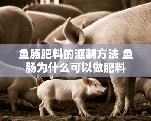 鱼肠肥料的沤制方法 鱼肠为什么可以做肥料