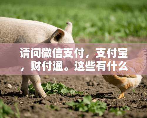 请问微信支付，支付宝，财付通。这些有什么区别？