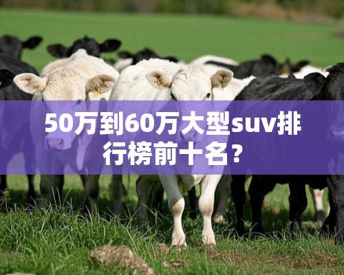 50万到60万大型suv排行榜前十名？