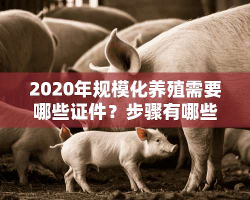 2020年规模化养殖需要哪些**？步骤有哪些？