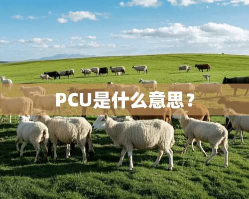 PCU是什么意思？