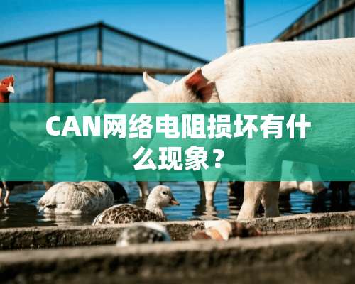 CAN网络电阻损坏有什么现象？