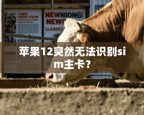 苹果12突然无法识别sim主卡？