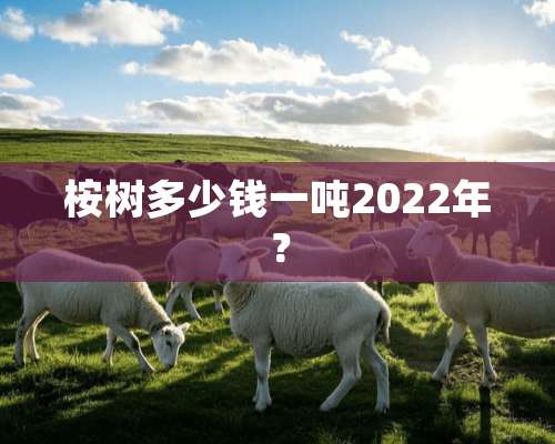 桉树多少钱一吨2022年？