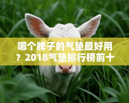 哪个牌子的气垫最好用？2018气垫排行榜前十名？