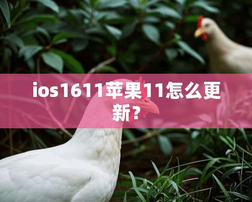 ios1611苹果11怎么更新？