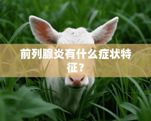 前列腺炎有什么症状特征？