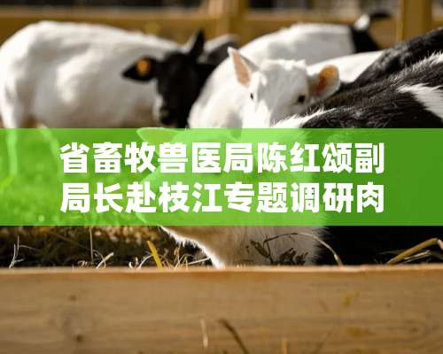 省畜牧兽医局陈红颂副局长赴枝江专题调研**养殖