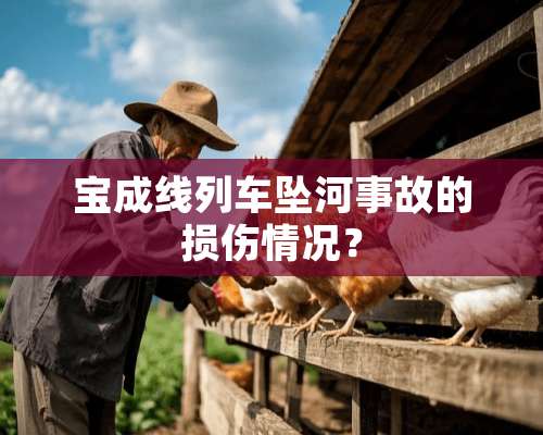 宝成线列车坠河事故的损伤情况？