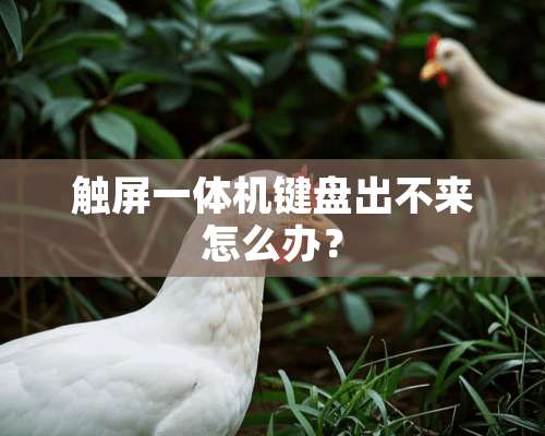 触屏一体机键盘出不来怎么办？