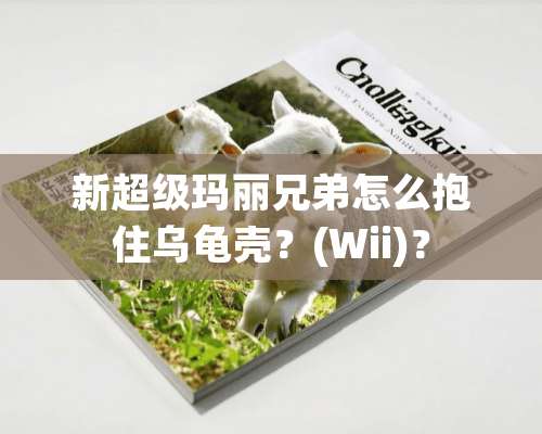 新超级玛丽兄弟怎么抱住乌龟壳？(Wii)？