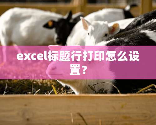 excel标题行打印怎么设置？