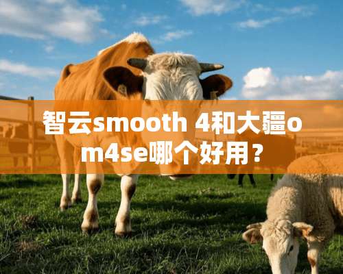 智云smooth 4和大疆om4se哪个好用？