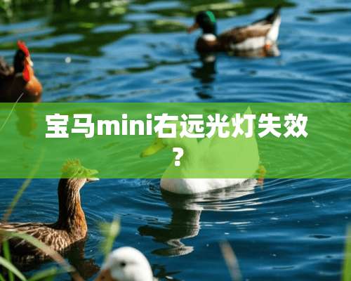 宝马mini右远光灯失效？