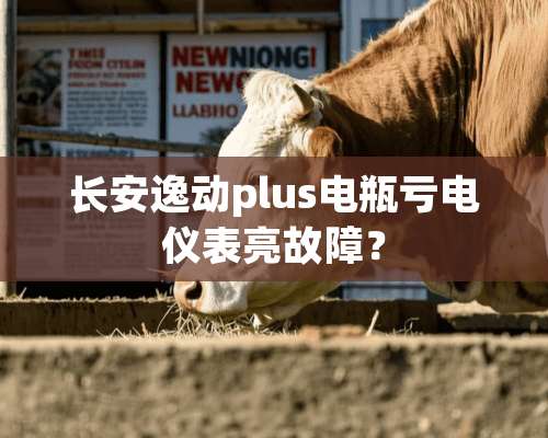 长安逸动plus电瓶亏电仪表亮故障？